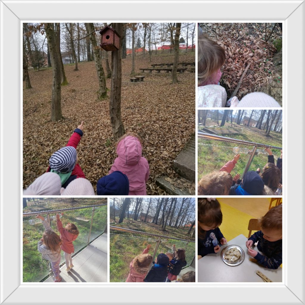 Collage_20240226_130715_edit_213019124685353-1024x1024