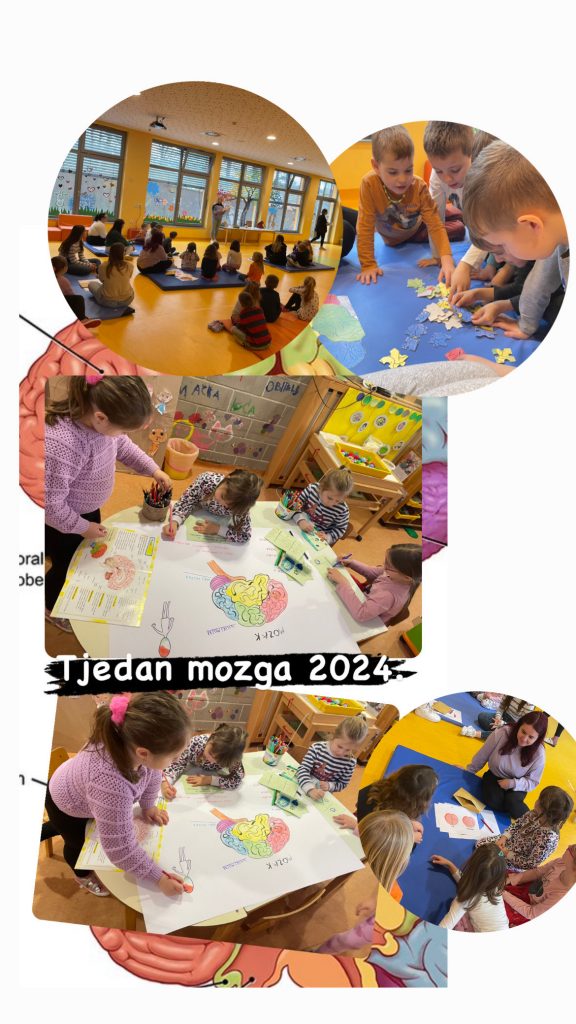 image_123650291-2-576x1024